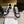 Jimmy Florent Sneaker Black Grey Glitter 715037