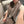 Loewe Scarf 180CM Brown Cashmere 968541