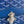 DUCHESSE MARIE-CAROLINE BAG 25 IN SAPPHIRE BLUE GOYARDINE CANVAS AND SMOOTH CALFSKIN