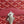 DUCHESSE MARIE-CAROLINE BAG 25 IN RED GOYARDINE CANVAS AND SMOOTH CALFSKIN