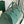 BOSTON 50 BAG IN GREEN GOYARDINE CANVAS AND CALFSKIN TRIM