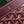 MATIGNON MINI WALLET 11 IN WINE RED GOYARDINE CANVAS AND CALFSKIN