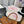 cc sneaker 40 pink lace