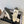 CC 25A Ballet Flat With Strap Quited White Black Sheepskin 530540