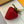 LV Strawberry Charm