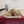 GG Stretch Low-Top Trainers Beige Canvas 824431