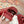 GG 26s Double G Sandals Red Canvas 929384
