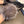 CC 26s Gloves 403818