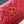 CC WOC Classic Fortune Bag 19cm Red Caviar Leather