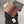 cc passport 10cm black cavair gold hardware