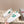 PRA 25s Casual Sneakers White Green Cowhide 449694