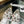 CC 25SS Biscuit Shoes 50mm White Canvas 413825