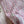 Chanel 25P Gilet Pink Cotton and Wool Tweed 235902