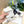 GLOVES IN WHITE MIX BLACK WOOL KNIT 462430
