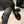 FLAT THONG IN BLACK CALFSKIN