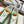 Upvillage Trainer 30mm In Lime Green Mix Emerald Laminated Calfskin With Suede 990147