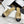 CC 25 Mules Flats Beige Sheepskin 311499