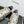 CC 25 Sneaker Gold Sheepskin Mesh 338281