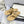 CC 26s Thong Sandals Beige Sheepskin 645321