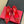 Flower Strass Buckle Pump 85 Crystal Red Leather