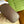 OPHIDIA 21 GG SMALL SHOULDER BAG IN BEIGE CANVAS AND BROWN CALFSKIN