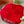 GG JACQUARD PATTERN KNIT SCARF 195 CM WITH TASSELS CHERRY RED 403746