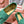 LP Summer Charms Walk Loafers Light Teal Green Suede 565855