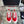 CC Sneaker Red Canvas 203267