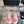 CC Sneaker Pink Canvas 203269