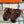 HM 25 Kos Clog Sandals Brown Cowhide 292050
