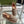 GC 2025 Espadrille With Horsebit Beige and Dark Brown Canvas 292317