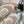 LP Flexy Walk Men's Sneaker Light Pink Wool 307255