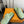 LV Cosy Comfort Mule Sandals Green Gold Denim Monogrammed 533458