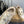 Loewe x On Cloudsolo Sneakers Cream Grey and Light Beige Polyester and Mesh 533485
