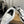 Loewe x On Cloudsolo Sneakers Black White Polyester and Mesh 533492