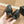 ballet flat black quilted lambskin patent calfkin toe
