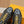 LV Rush Sneaker Black Mix Yellow Cowhide