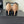 CC 26s Matthieu Blazy Pump 9.5cm Beige Suede 807481