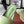 LP 26s Mule Loafers Green Crocodile-Embossed Leather 892432