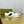 GG TENNIS 1977 TRAINER WHITE CANVAS