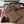 GG 26s Giglio Large Tote Bag 60cm Sand Brown Coated Canvas