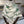 CD 26s Dior Lily of the Valley Scarf 140x140cm Cashmere Silk 215660