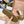 Miu Plume Sneakers Yellow-Brown Suede Lace 456346