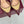 GG 26WF Mules 9.5cm Wine Red Beige Leather Canvas 886168