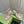 GG CRYSTAL HORSEBIT SANDAL PASTEL PINK LAMBSKIN