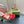 GG CRYSTAL HORSEBIT SANDAL CRIMSON LAMBSKIN