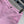 GG 26s Jacquard Straight Leg Shorts Hot Pink Denim 363930