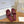CD 26s D-Club Slides 4.5cm Burgundy Calfskin 998648