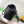 CC 2025 Cambon Bag Black White Lambskin 308110