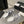 dad sandal mule striped black white fabric calfskin